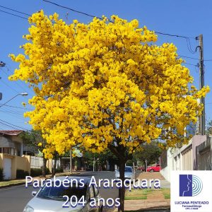 Feliz aniversário Araraquara!
